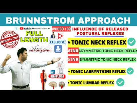 AN INTRODUCTION TO BRUNNSTROM APPROACH MOVEMENT THERAPY IN HEMIPLEGIA