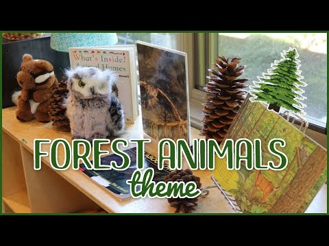 Classroom Forest Theme
