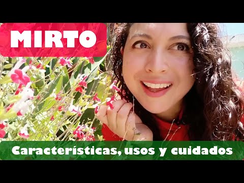 , title : 'Mirto Chico: Características  y cuidados de la planta, usos culinarios y medicinales'