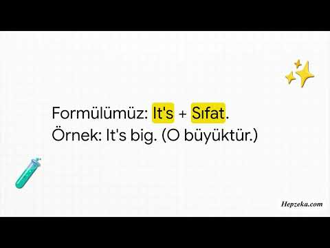 1. Sınıf İngilizce Hayvanlar - Animals