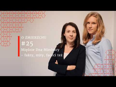 O Zmierzchu #25 - Mięśnie Dna Miednicy. Fakty, mity, faceci też.