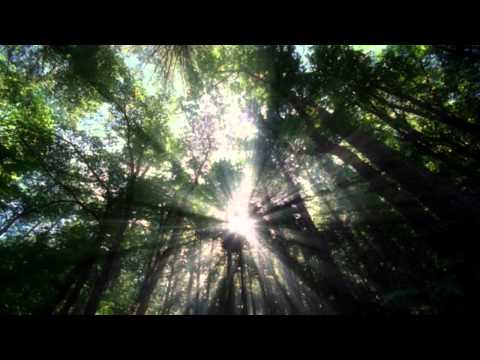 Olaya Sound System - Ver mas allá