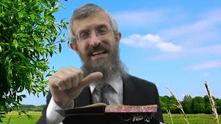 מסכת כתובות דף סד  - 8 דקות של לומדות ועמקות בדרך הלימוד הישיבתית [ktubot 64]