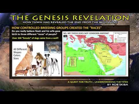Rob Skiba's "Nephilim seed on the ark theory" is RACIST!?