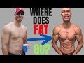 Where Does Fat Go? Fat Loss