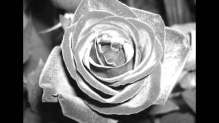 Die Toten Hosen - Alles Eins Wir werden Fliegen