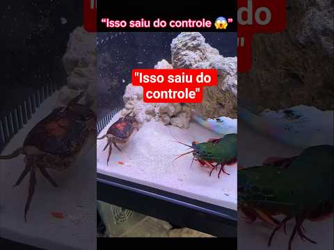 Isso saiu do controle....