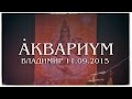 Аквариум - Песни Нелюбимых (Владимир 2015) 
