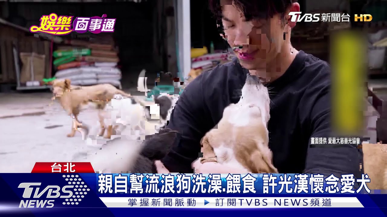 快哭了! 許光漢探視創傷狗不忍出血、嘴裂