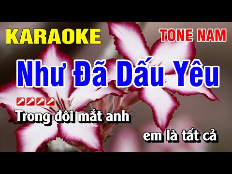 Karaoke Như Đã Dấu Yêu Tone Nam Nhạc Sống | Nguyễn Linh