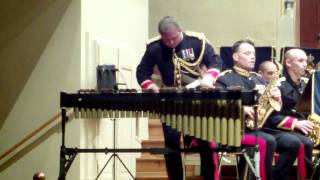 The Band of the Blues & Royals - On the Track - Xylophone Soloist WO2Stuart Marsh