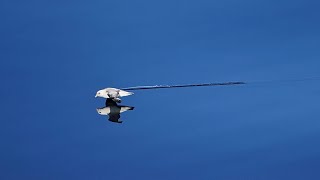 Monatige Expedition zum Schutz von Europas rätselhaftem „Bananenloch“