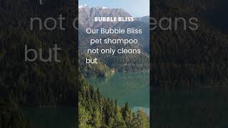 Download lagu Bubble Bliss mp3