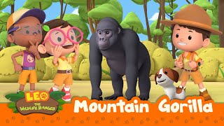 Download lagu Mountain Gorilla | It's An Earthquake! Get To Safety! | Leo the Wildlife Ranger Season 2 | For Kids mp3