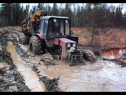 Day in wet forest with Belarus Mtz 892 + homemade trailer