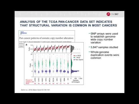 Revealing the Hidden Landscape of Structural Variants in Cancer Genomes