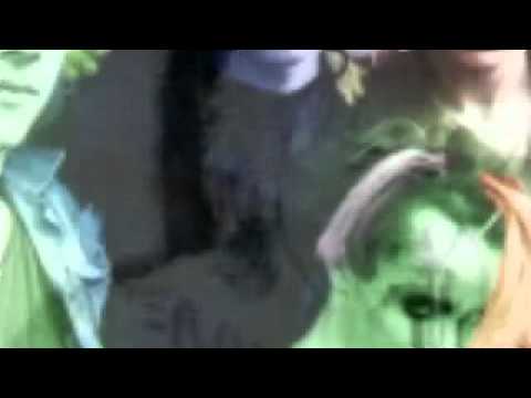 Flowers In The Dustbin - Raised In A Prison