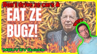 Net Zero Madness: Germany considers BANNING driving on WEEKENDS!! | MGUY Australia