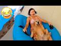 Funniest Animal Videos 2026 When Animals Have Their Funniest Moments