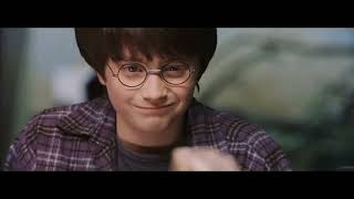 Harry Potter (1 of 13) - There is no such thing as magic