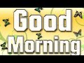 Good Morning Video Good Morning Song Good Morning Good Morning Status Good Morning Whatsapp
