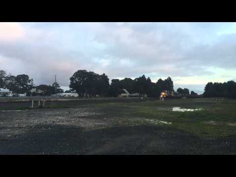 XR557 G536 down Murrayville grain at Elaine