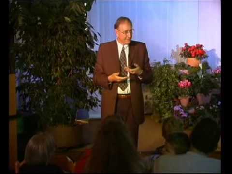 Kreation Evolution 03 Fossilien wie sie entstanden 2/7