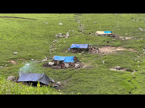 Beautiful Nepali Himalayan Shepherd Lifestyle | Shepherd Organic Food Cooking And Eating in the open