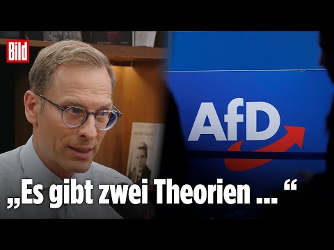 Neues AfD-Umfrage-Hoch: Wie lange hält die Brandmauer nach rechts noch? | Vertraulich