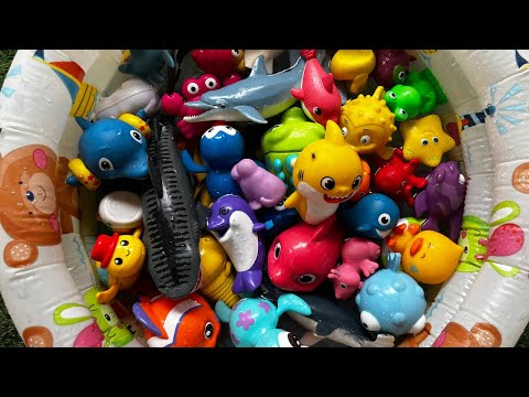 Marine Animal Toys for Toddlers: Fun Ocean Animal Names and Facts| Sea Animal Toys for Toddlers