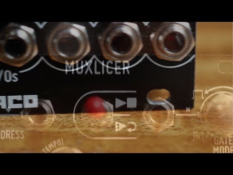 Kit Overview # 42 - Muxlicer Build Video