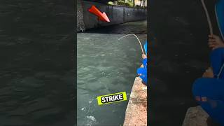 Download lagu LIHAT GUYS MANCING IKAN DI BAWAH JEMBATAN TANPA UMPAN ‼️ #shorts #fishing #mancing mp3