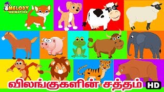 Animal Sounds  Learn About Animal Sounds in Tamil 
