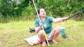 Download lagu Seneng banget bisa lihat ikan tilapia dengan sangat jelas mp3 Download lagu Seneng banget bisa lihat ikan tilapia dengan sangat jelas mp3