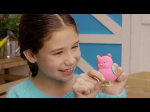 Video ilustrativo en inglés