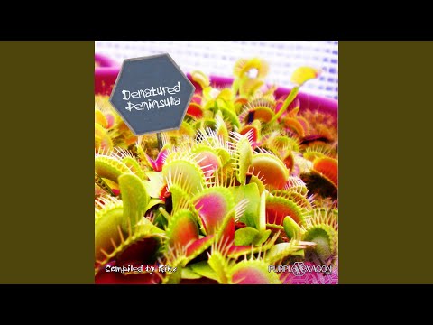 Ctrl alt kech (Peace-ka Remix)