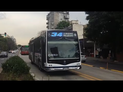 Compilado de Bondis Octubre 2025!!