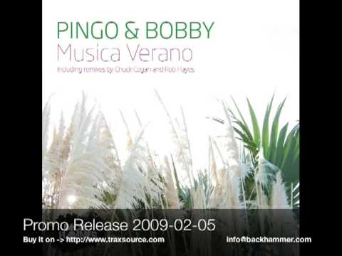 Pingo & Bobby - Musica verano ( original mix )