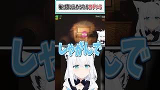 箱に閉じ込められるあずいろ【白上フブキ/風真いろは/AZKi/ホロライブ切り抜き】 #shorts #vtuber #ホロライブ切り抜き