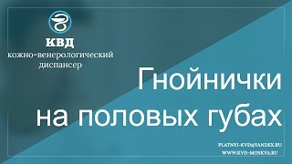 Ссылка