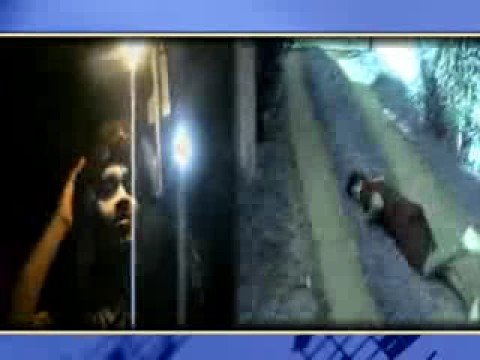 Maanen Official Music Video Nyoman and Mahesh