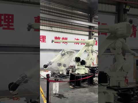 RS015X video