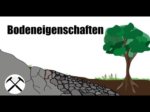 Bodeneigenschaften | Bodenkunde 2 🏔