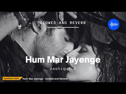 Hum Mar Jayenge - Aashiqui 2 [slowed and reverb] | Aesthetic Chills | Bollywood Lofi