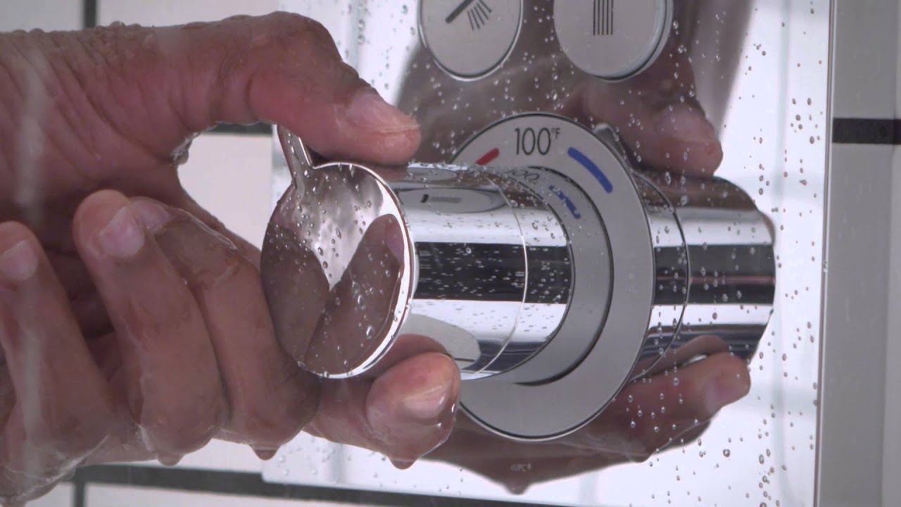 Hansgrohe 04542000 Raindance Select S Hand Shower