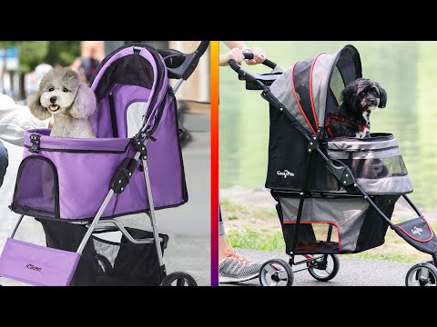 Top 5 Best Cat Strollers Review in 2022 | For All Budgets