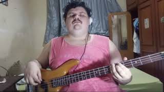 Raul Seixas - Para Noia (bass cover)