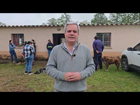 Gobierno de Salto Castraciones en Itapebí, control canino