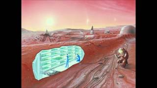 Elon Musk and The SpaceX Plan to Colonize Mars