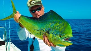 Mahi Mahi Redfish Venice La Deep Sea Fishing